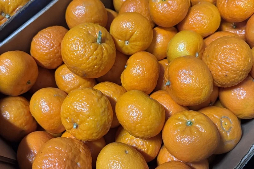 Tu proveedor de fruta en Zamora