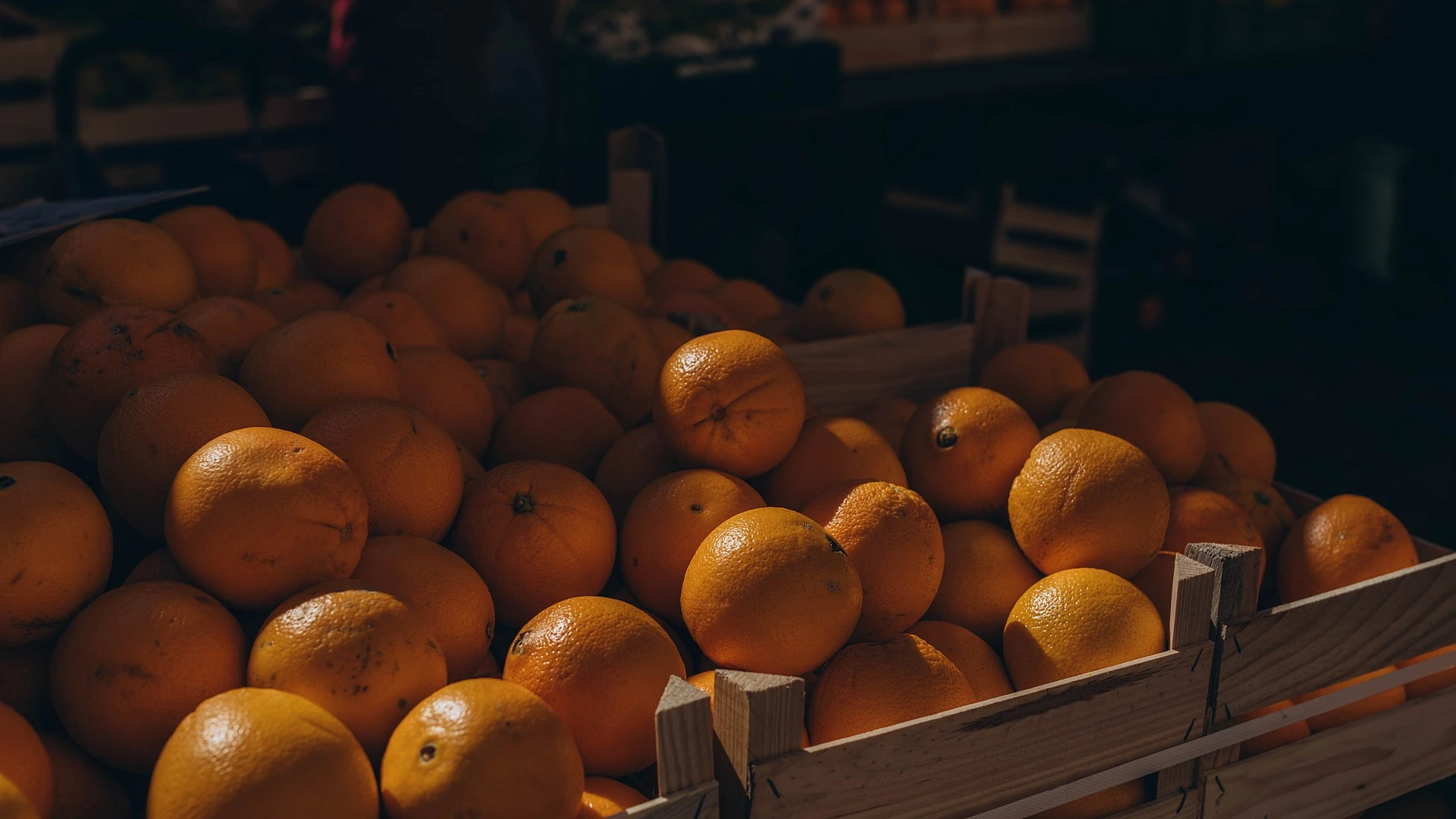 Naranjas y mandarinas MG, aceite propio y más de 40 años de experiencia.