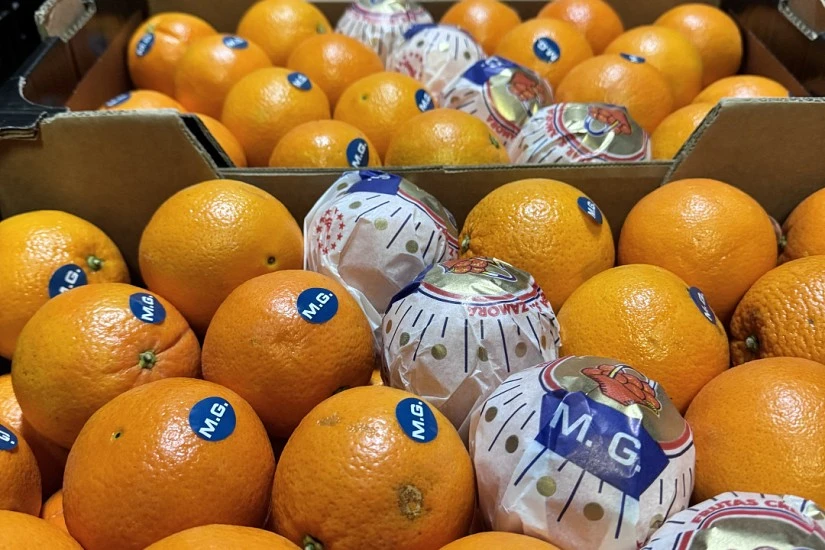 Más de 40 años de experiencia